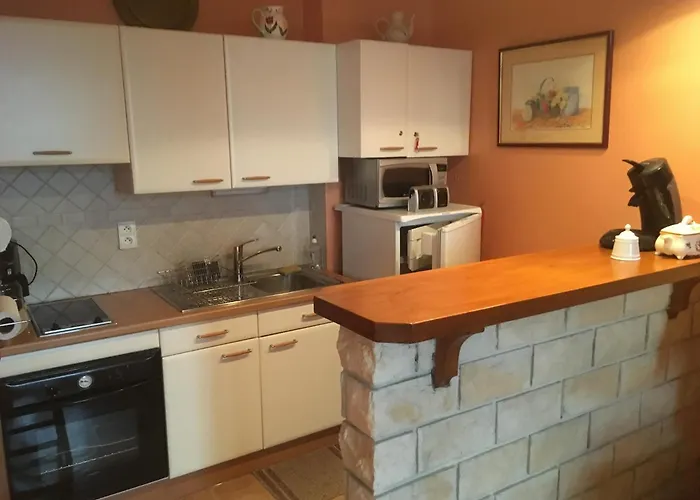 Dernier Etage, Tres Belle Vue - Centre-ville فيشي